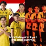 Fakta Tentang Atlet Esport Serta Jenjang Karirnya!